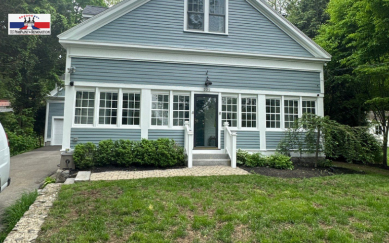 painting and remodeling services