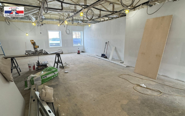 painting and remodeling services